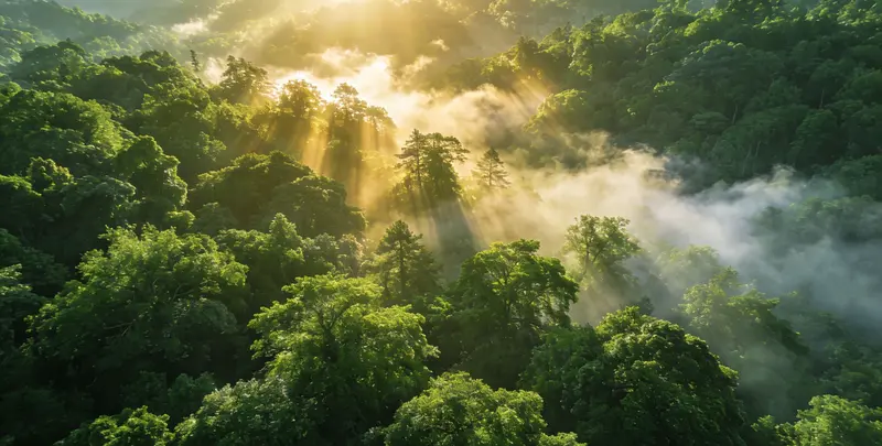 巴中肺癌12基因ctDNA突变检测(血液）图片1