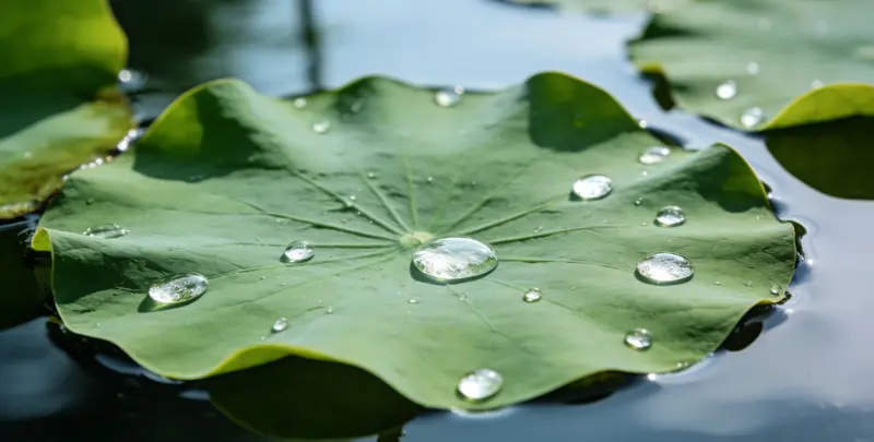 巴中乳腺癌21基因mRNA表达分析图片1