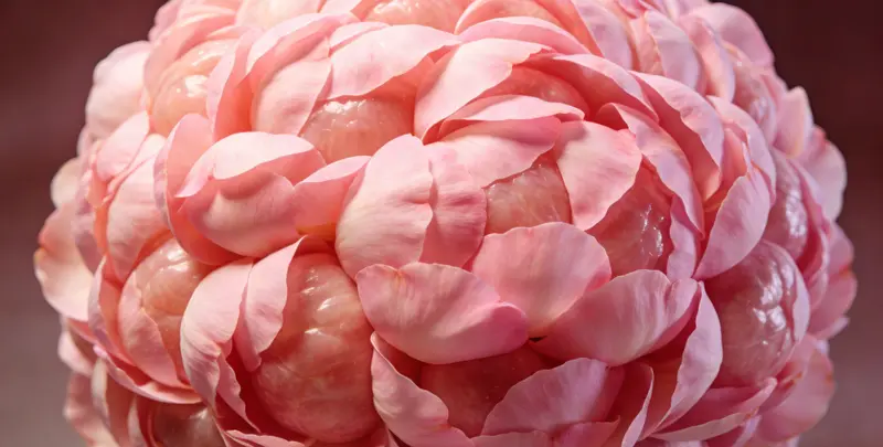 巴中BRCA1/2乳腺癌卵巢癌基因检测图片1